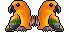 Squawk! Squawk!